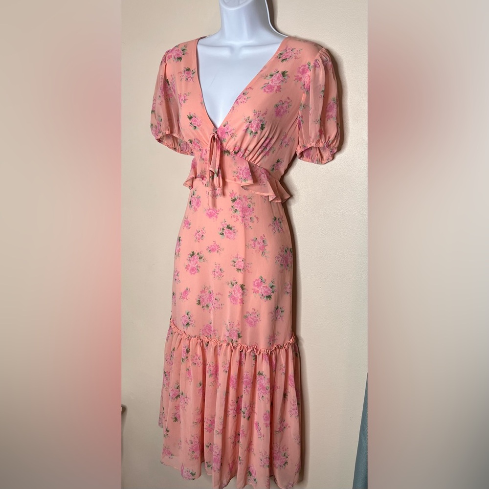 LoveShakeFancy Floral Dress Size 10